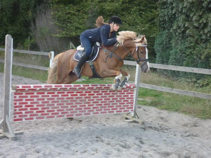 Springundervisning på Gøngehusfarmen d. 17/9 2009 billede 88