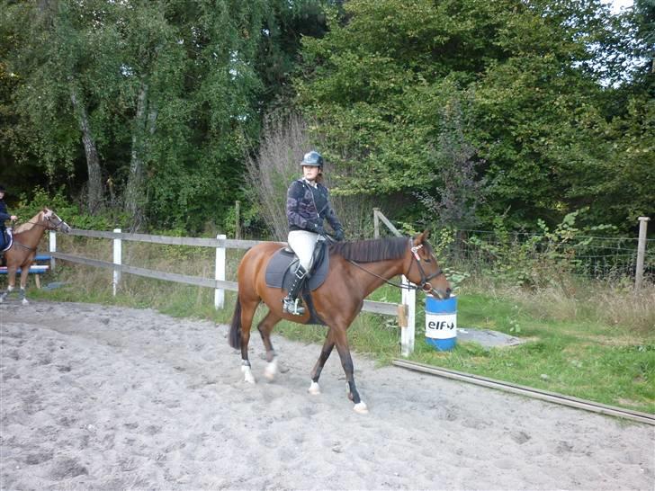 Springundervisning på Gøngehusfarmen d. 17/9 2009 billede 89