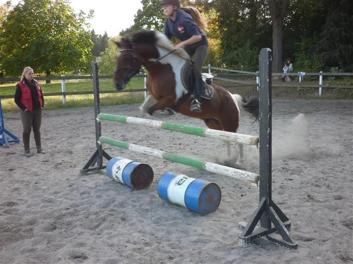 Springundervisning på Gøngehusfarmen d. 17/9 2009 billede 91