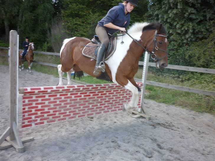 Springundervisning på Gøngehusfarmen d. 17/9 2009 billede 92