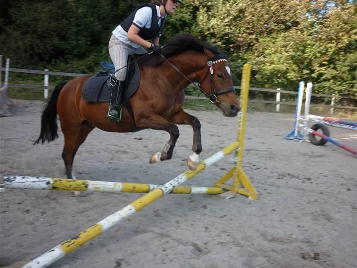 Springundervisning på Gøngehusfarmen d. 17/9 2009 billede 95