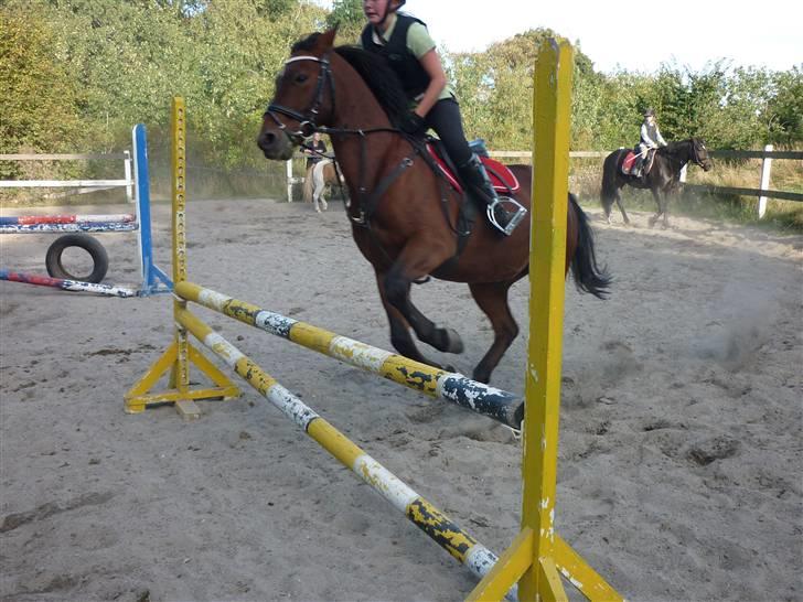 Springundervisning på Gøngehusfarmen d. 17/9 2009 billede 97