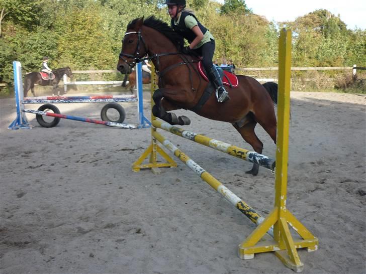 Springundervisning på Gøngehusfarmen d. 17/9 2009 billede 98