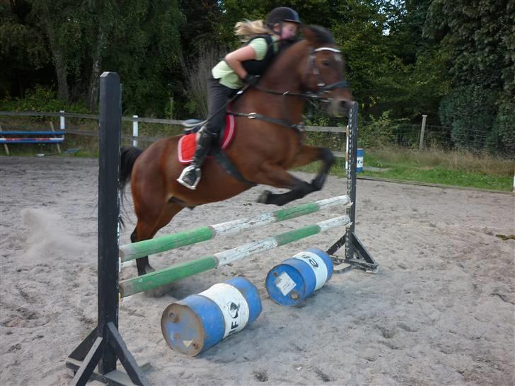 Springundervisning på Gøngehusfarmen d. 17/9 2009 billede 100