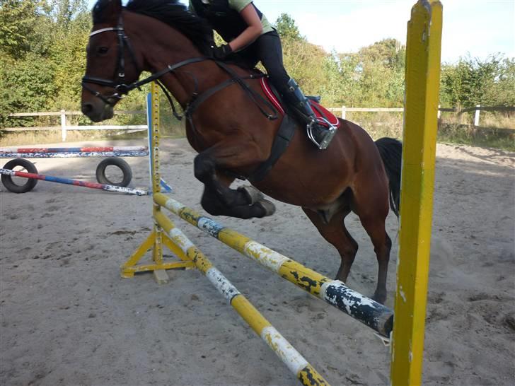 Springundervisning på Gøngehusfarmen d. 17/9 2009 billede 101