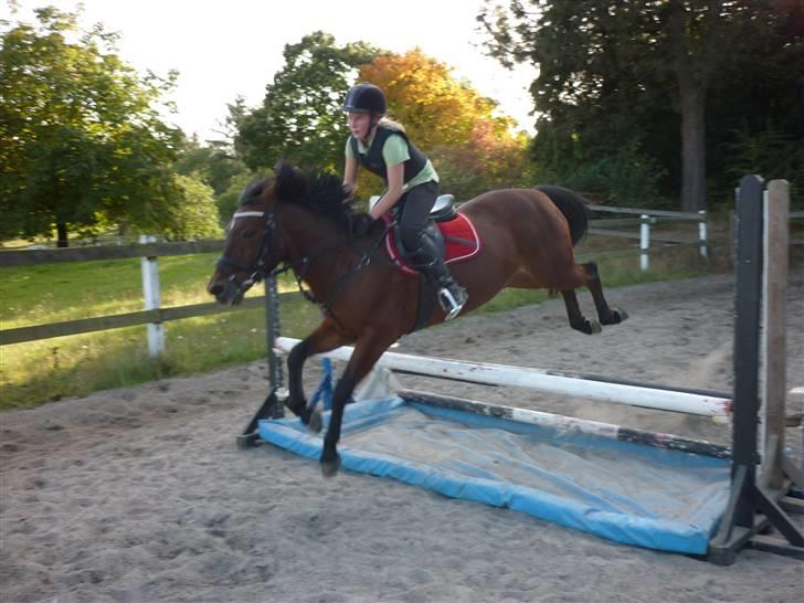 Springundervisning på Gøngehusfarmen d. 17/9 2009 billede 102