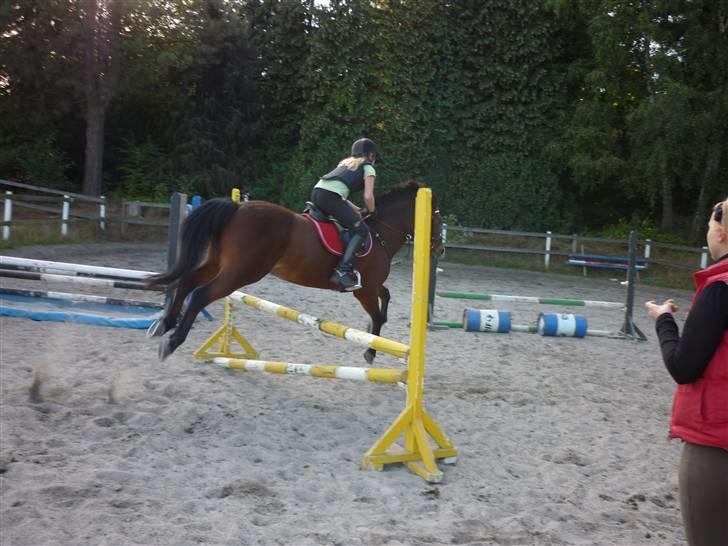 Springundervisning på Gøngehusfarmen d. 17/9 2009 billede 103