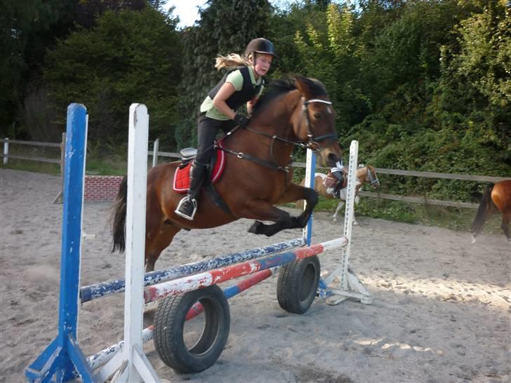 Springundervisning på Gøngehusfarmen d. 17/9 2009 billede 104