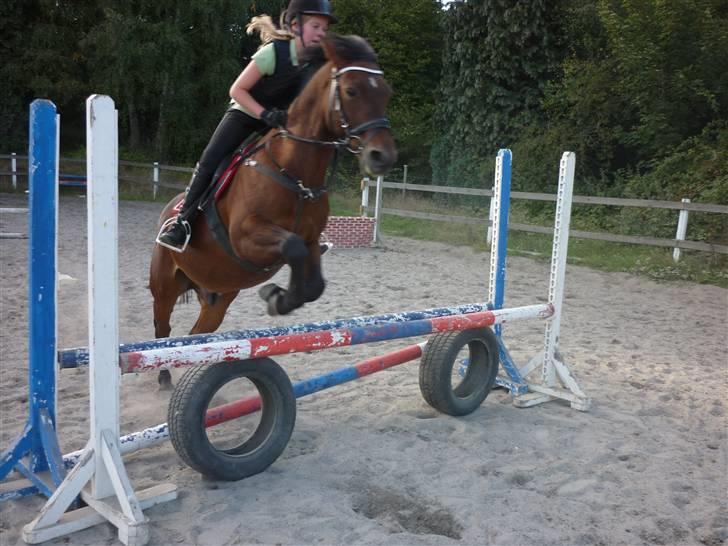 Springundervisning på Gøngehusfarmen d. 17/9 2009 billede 105