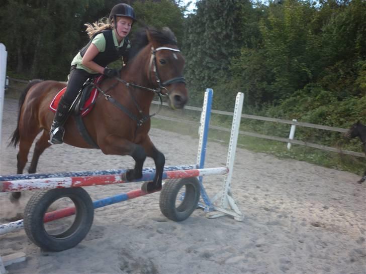 Springundervisning på Gøngehusfarmen d. 17/9 2009 billede 106