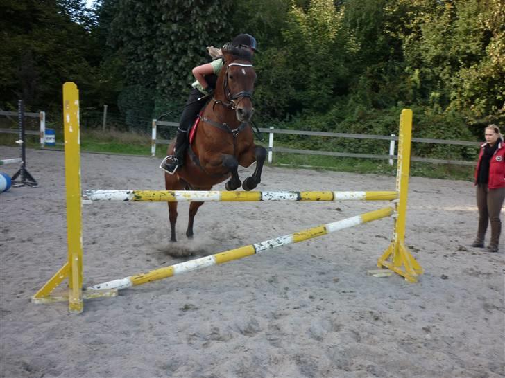 Springundervisning på Gøngehusfarmen d. 17/9 2009 billede 107