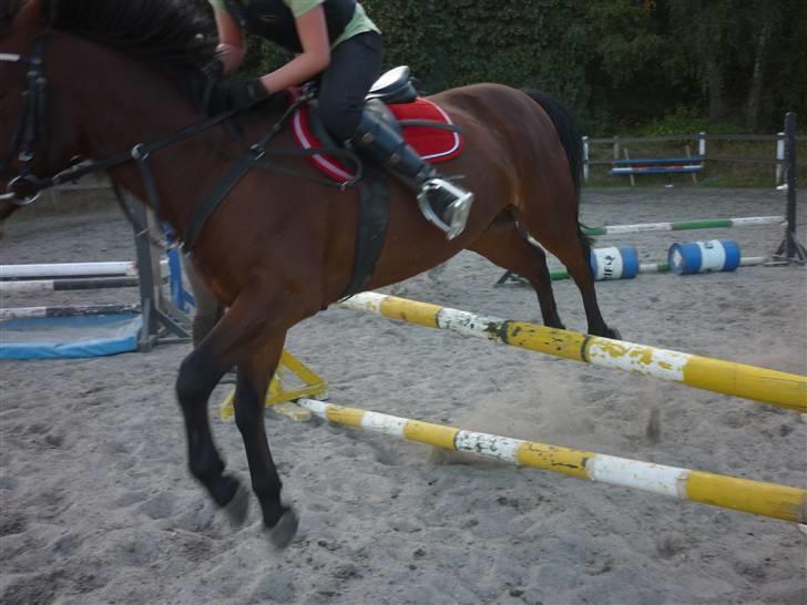 Springundervisning på Gøngehusfarmen d. 17/9 2009 billede 108