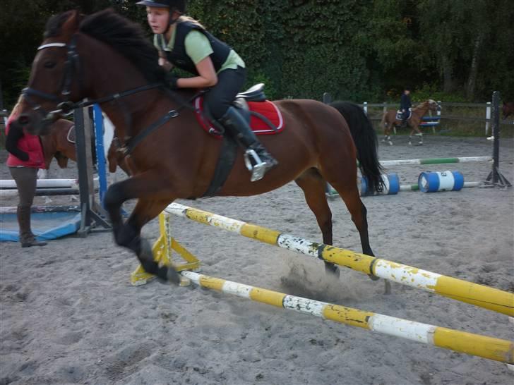 Springundervisning på Gøngehusfarmen d. 17/9 2009 billede 110