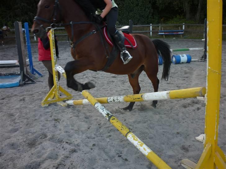 Springundervisning på Gøngehusfarmen d. 17/9 2009 billede 111