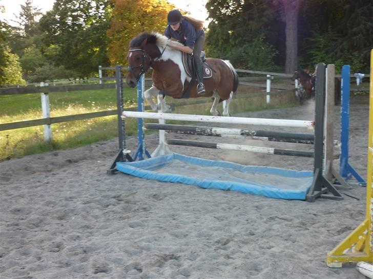 Springundervisning på Gøngehusfarmen d. 17/9 2009 billede 113