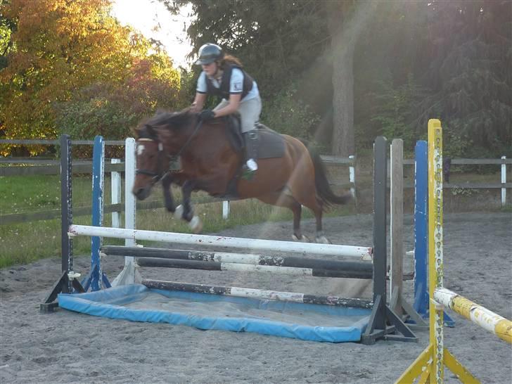 Springundervisning på Gøngehusfarmen d. 17/9 2009 billede 120