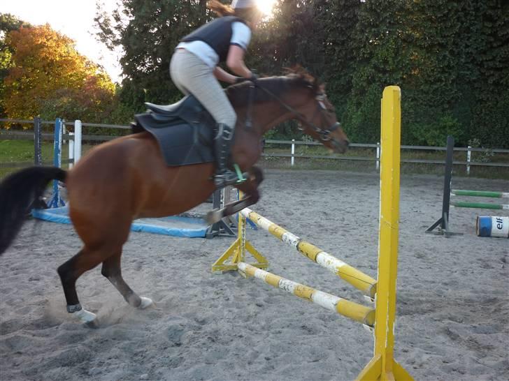 Springundervisning på Gøngehusfarmen d. 17/9 2009 billede 121