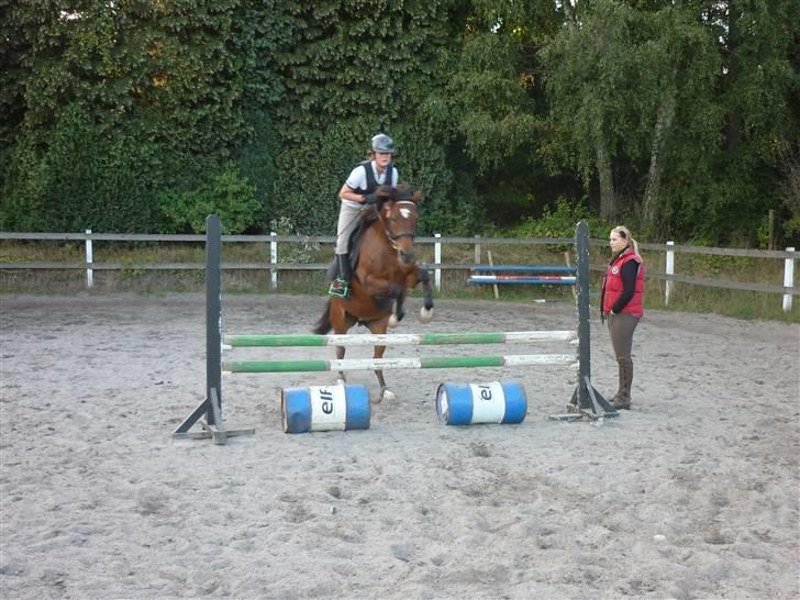 Springundervisning på Gøngehusfarmen d. 17/9 2009 billede 123