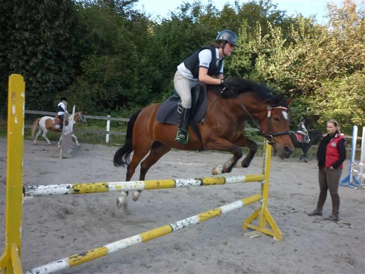 Springundervisning på Gøngehusfarmen d. 17/9 2009 billede 124