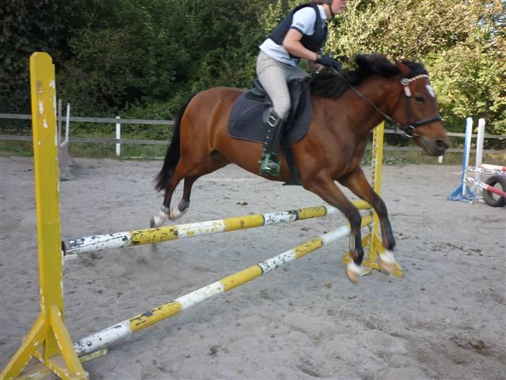 Springundervisning på Gøngehusfarmen d. 17/9 2009 billede 125