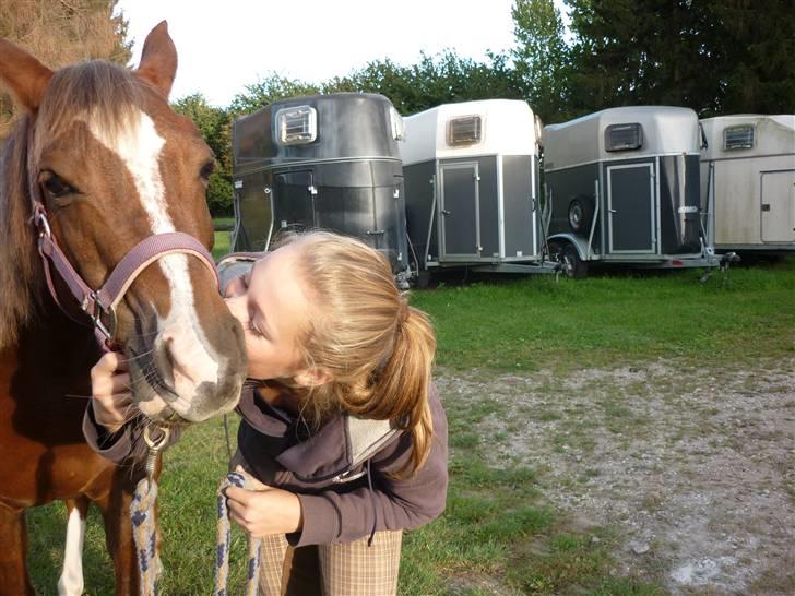 Springundervisning på Gøngehusfarmen d. 17/9 2009 billede 129