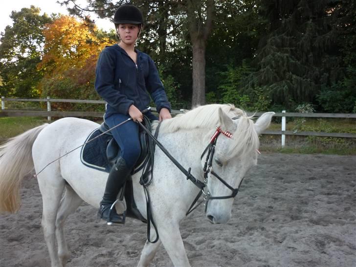 Springundervisning på Gøngehusfarmen d. 17/9 2009 billede 130