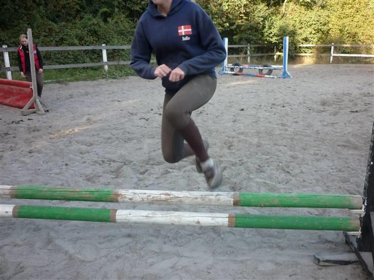 Springundervisning på Gøngehusfarmen d. 17/9 2009 billede 131