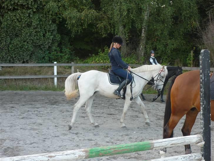 Springundervisning på Gøngehusfarmen d. 17/9 2009 billede 132