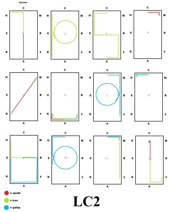 LC2 2009 TEGNET billede 1