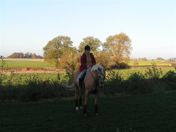 Troldhøj´s Melissa billede 2