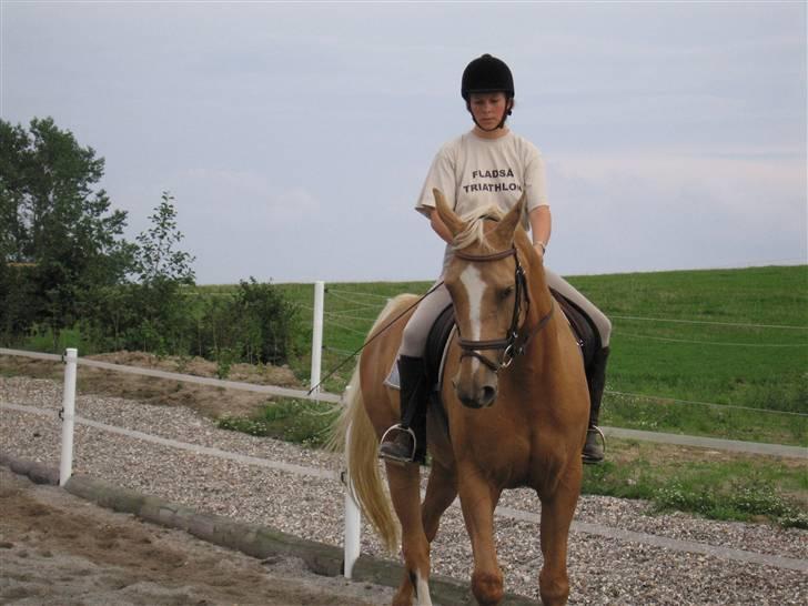 Troldhøj´s Melissa billede 3