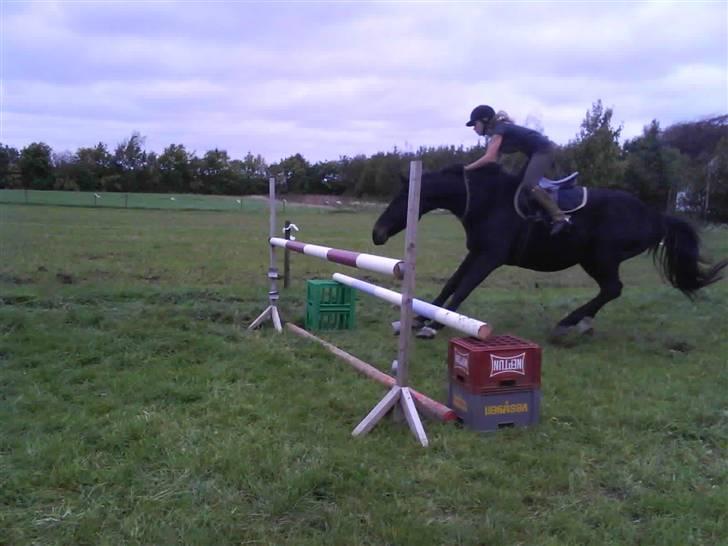 Træning i cordeo med Taicon - d. 27 sep 2009. - HOvsa :D billede 12