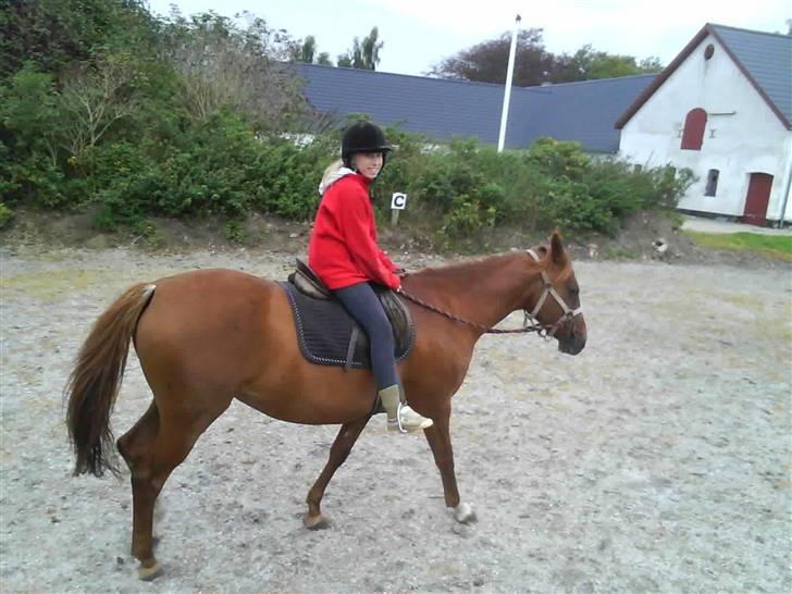 Træning i cordeo med Taicon - d. 27 sep 2009. - Frederikke på Sprite billede 24