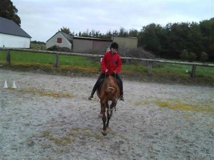 Træning i cordeo med Taicon - d. 27 sep 2009. - Frederikke på Sprite billede 25