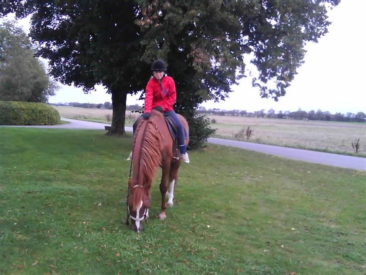 Træning i cordeo med Taicon - d. 27 sep 2009. - Frederikke på Sprite billede 28