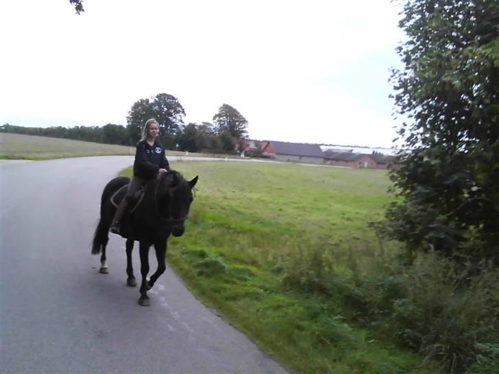 Træning i cordeo med Taicon - d. 27 sep 2009. - På vejen billede 10