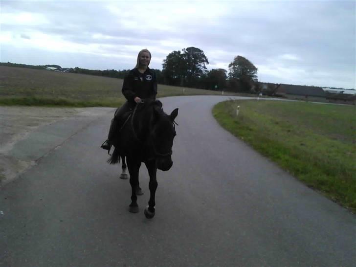 Træning i cordeo med Taicon - d. 27 sep 2009. - På vejen billede 9