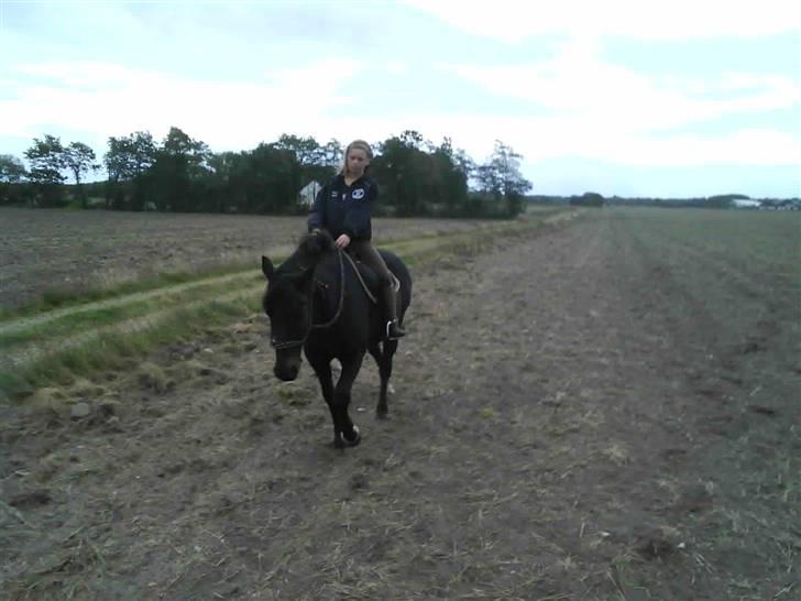 Træning i cordeo med Taicon - d. 27 sep 2009. - På marken billede 7