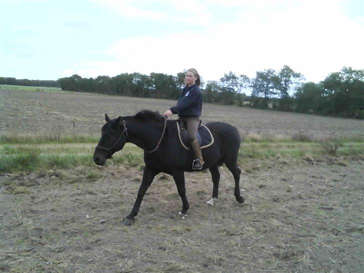 Træning i cordeo med Taicon - d. 27 sep 2009. - På marken billede 5