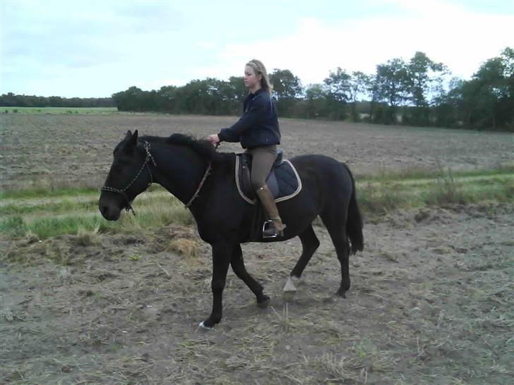Træning i cordeo med Taicon - d. 27 sep 2009. - På marken billede 4