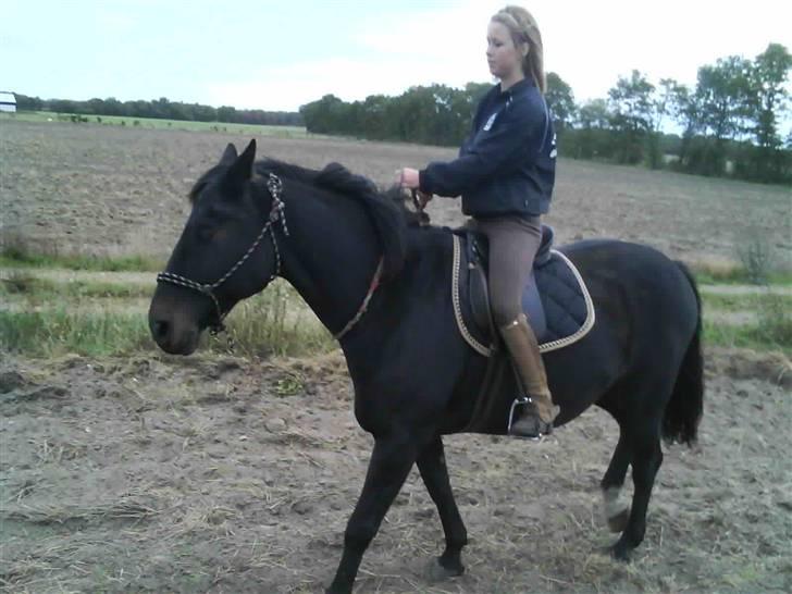 Træning i cordeo med Taicon - d. 27 sep 2009. - På marken billede 3