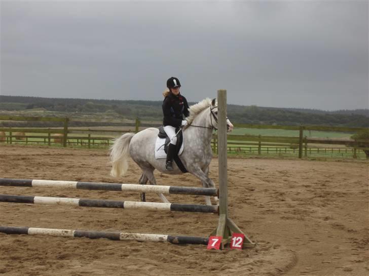 Rom Rideklub.. billede 1