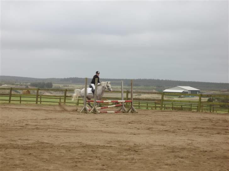 Rom Rideklub.. billede 2