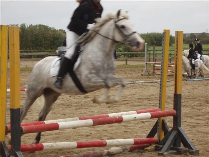 Rom Rideklub.. billede 3