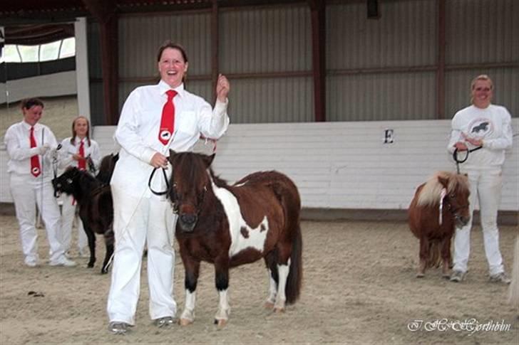 Føl og plagskue på fyn billede 6