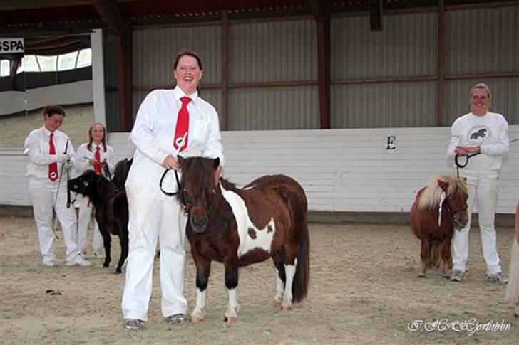 Føl og plagskue på fyn billede 7