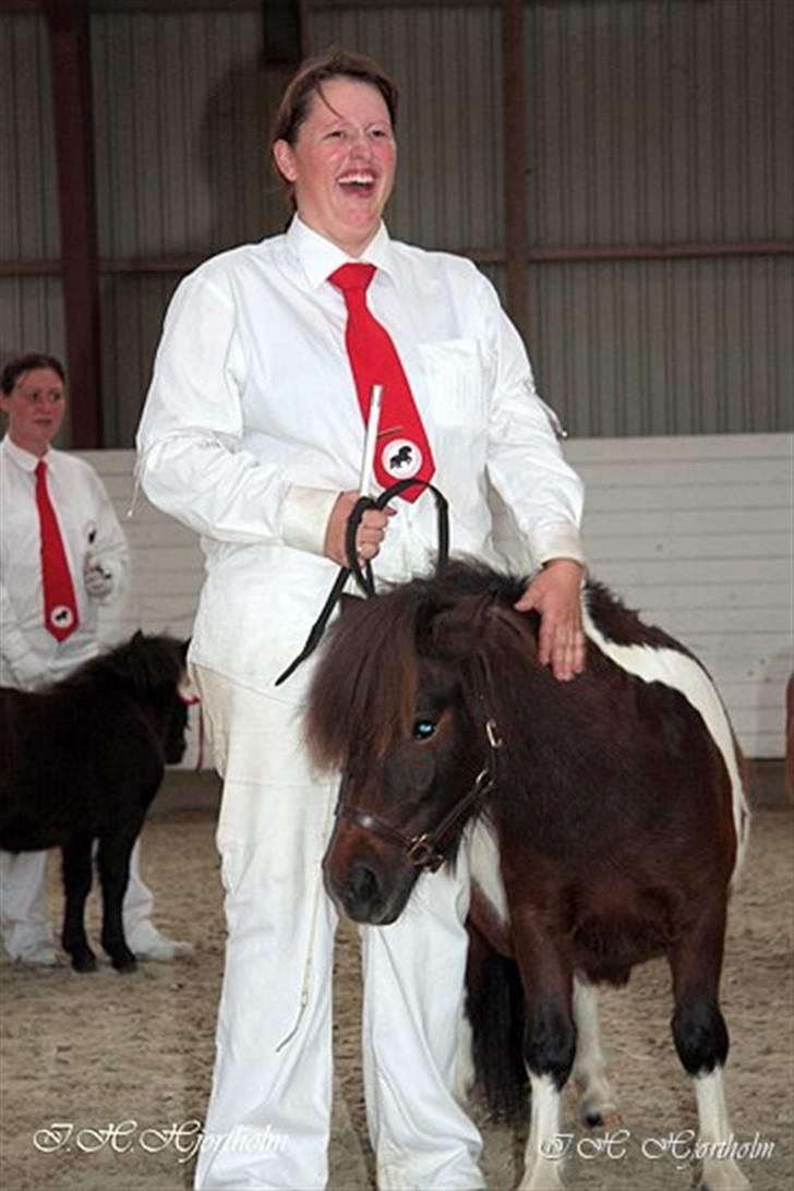 Føl og plagskue på fyn billede 8