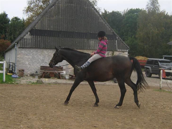 Mig og Twi - Mig og twilight... billede 4