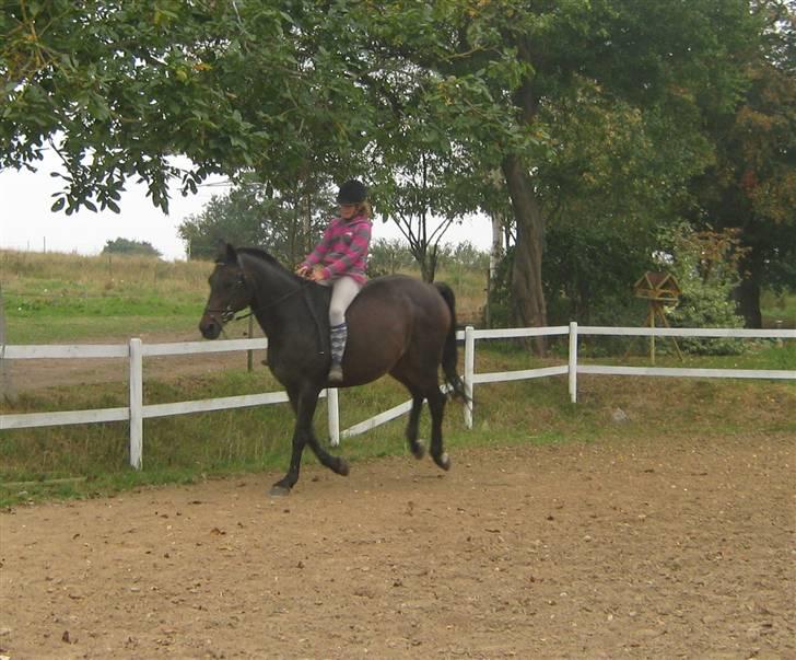 Mig og Twi - Mig og twilight... billede 5