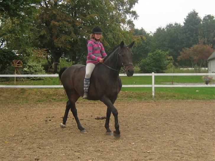 Mig og Twi - Mig og twilight... billede 7